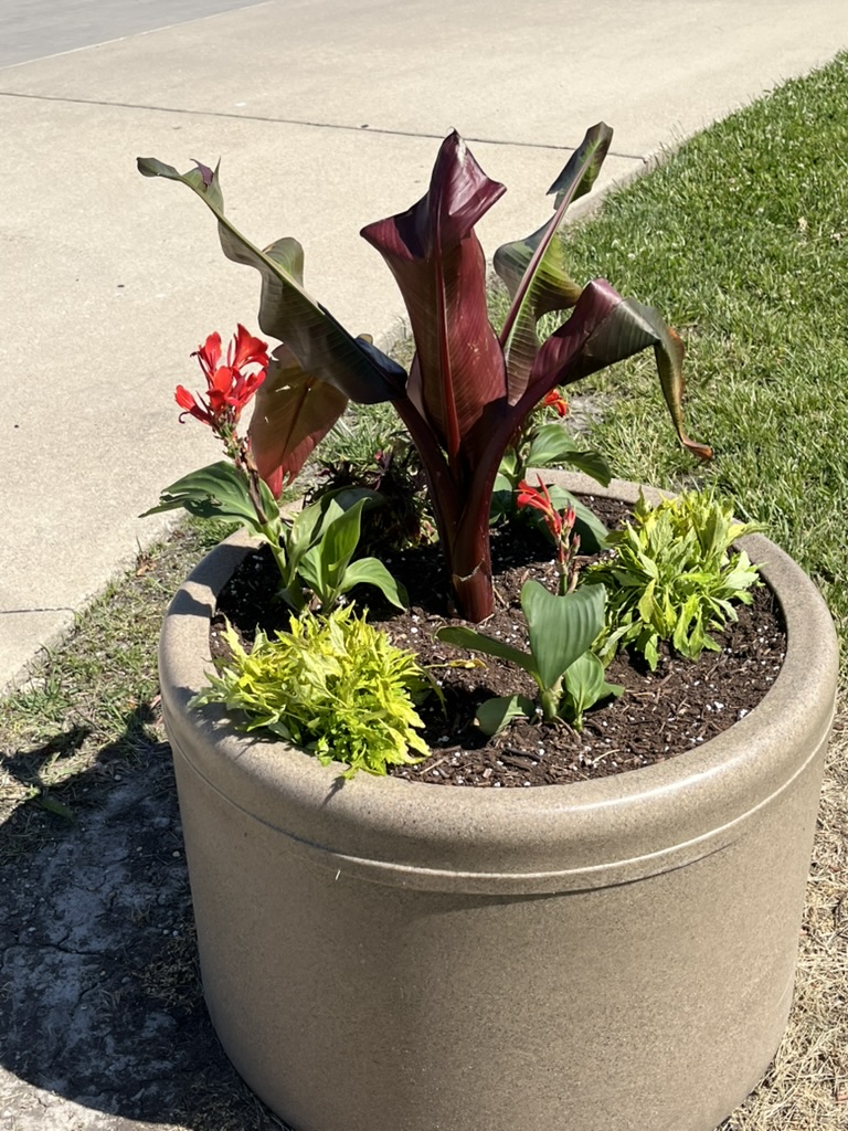 Garden photo